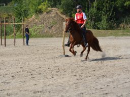 DSC_9293_web